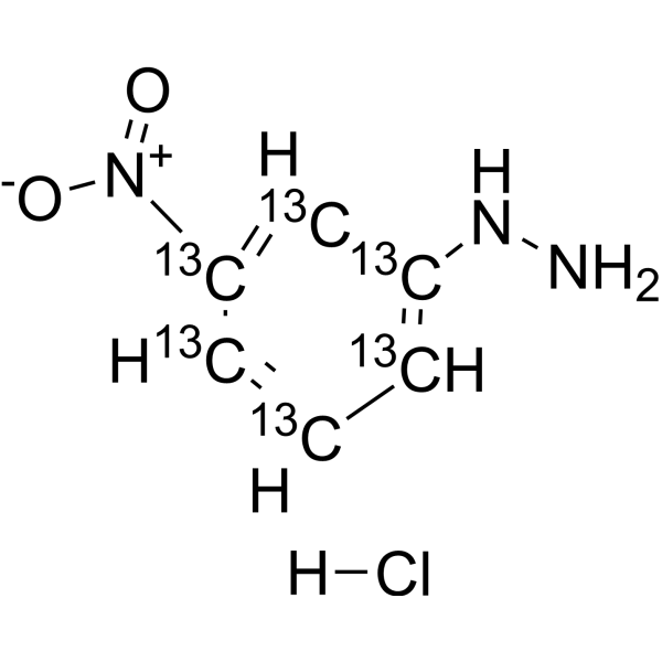 3-Nitrophenylhydrazine-13C6 hydrochloride 1977535-33-3